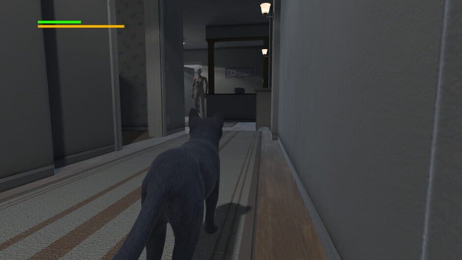 Capture de Cat Apocalypse