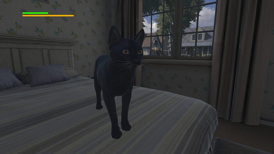 Capture de Cat Apocalypse