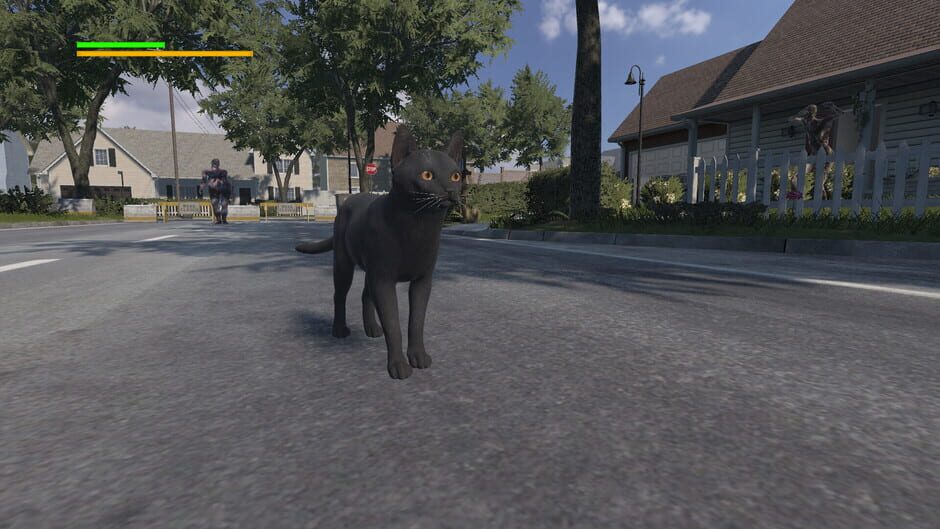 Capture de Cat Apocalypse