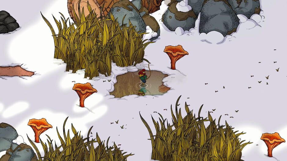 Capture de Winter Burrow