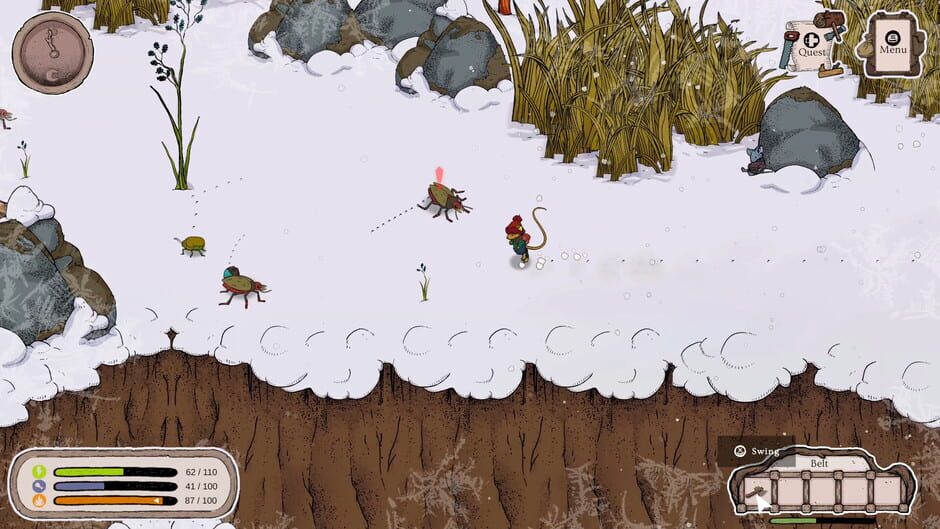 Capture de Winter Burrow