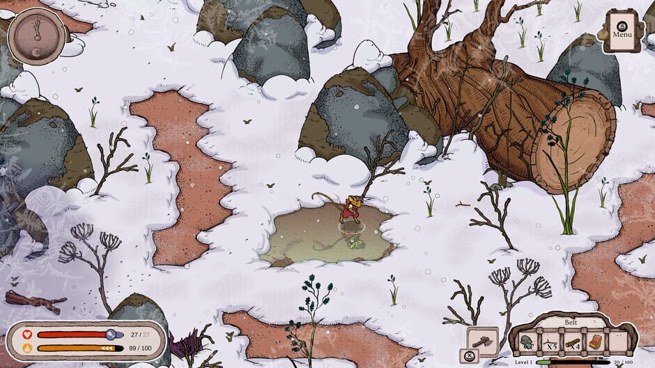 Capture de Winter Burrow