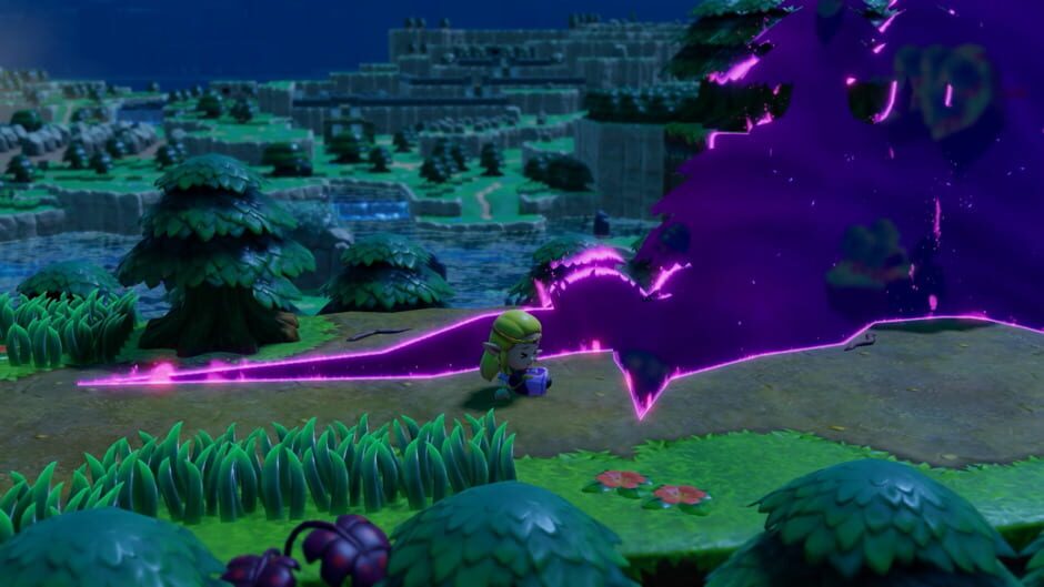Capture de The Legend of Zelda: Echoes of Wisdom