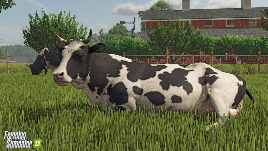 Capture de Farming Simulator 25