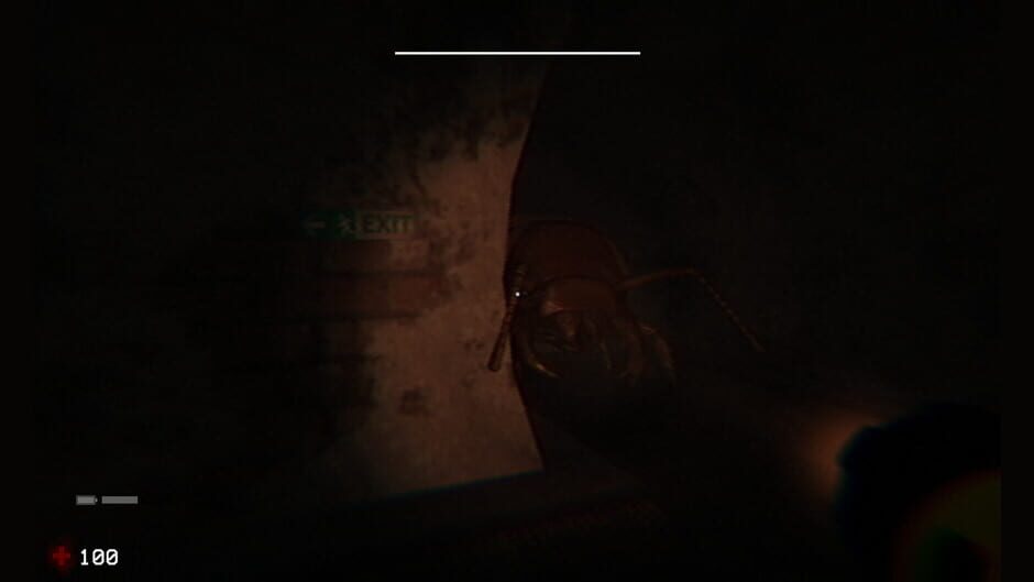 Capture de Zooparasite