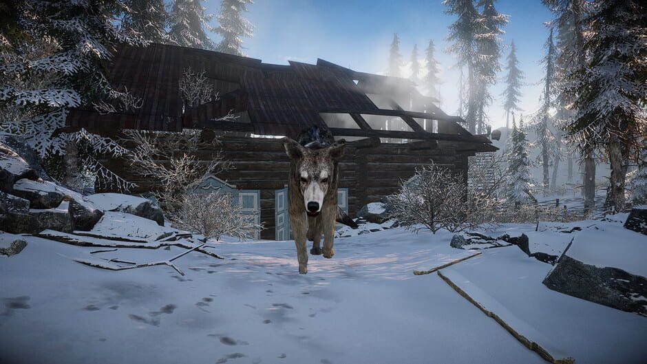 Capture de Short Snow
