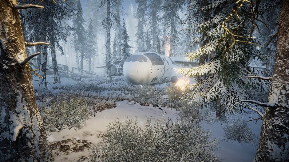Capture de Short Snow