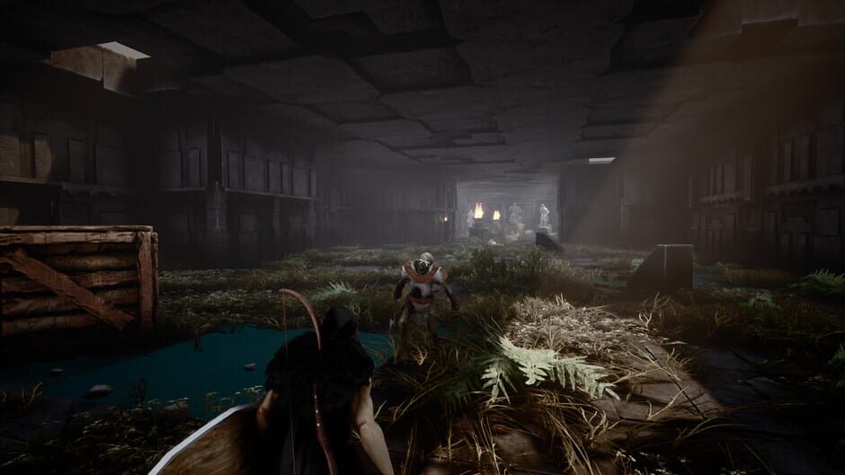 Capture de Ruins of Endoth