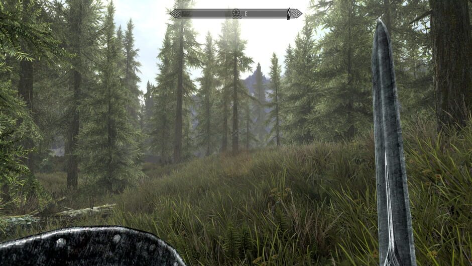 Capture de The Elder Scrolls V: Skyrim