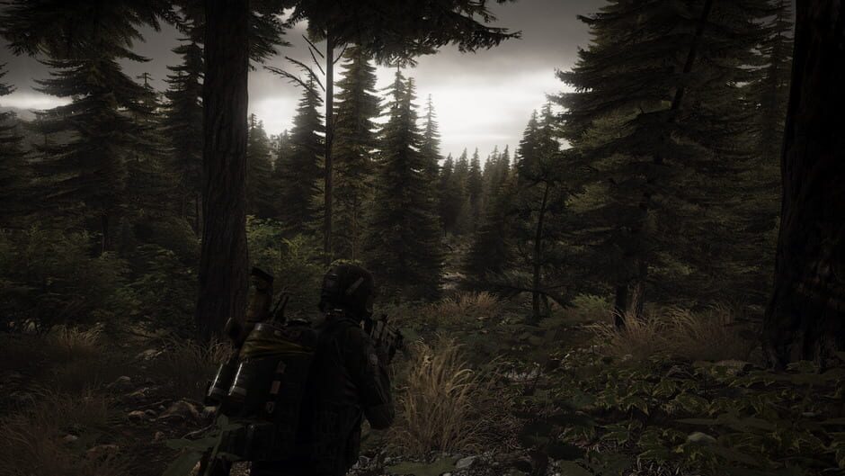 Capture de Tom Clancy's Ghost Recon: Wildlands
