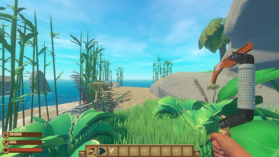 Capture de Raft
