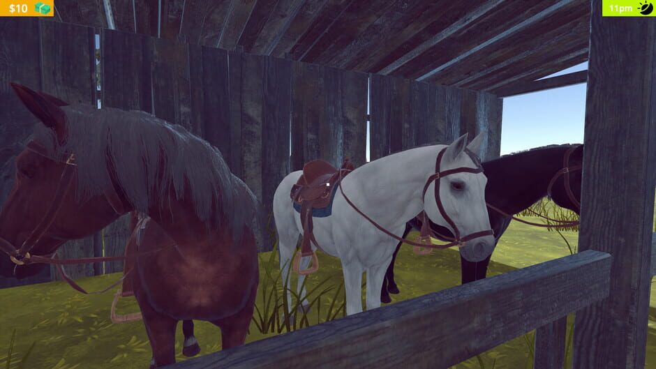 Capture de Horse Farm Simulator