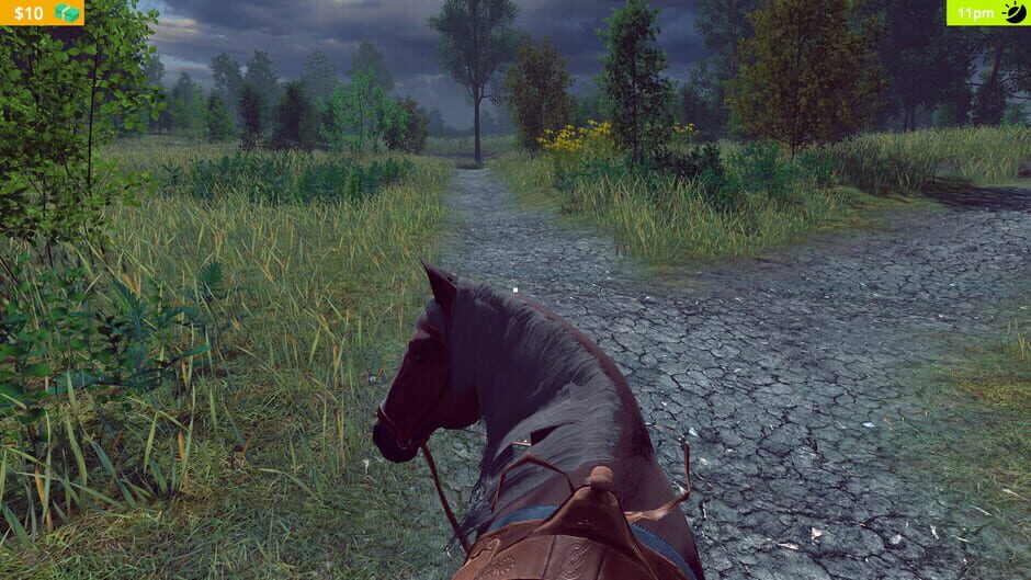 Capture de Horse Farm Simulator
