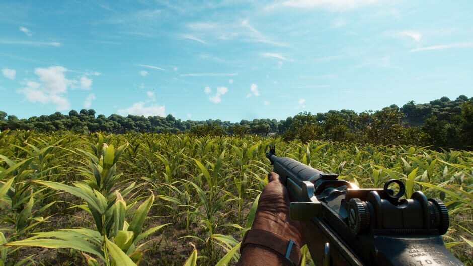 Capture de Far Cry 6