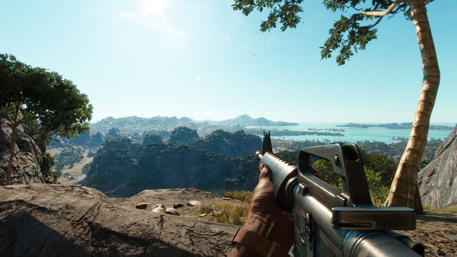 Capture de Far Cry 6