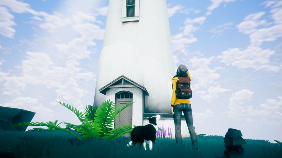 Capture de Farewell North