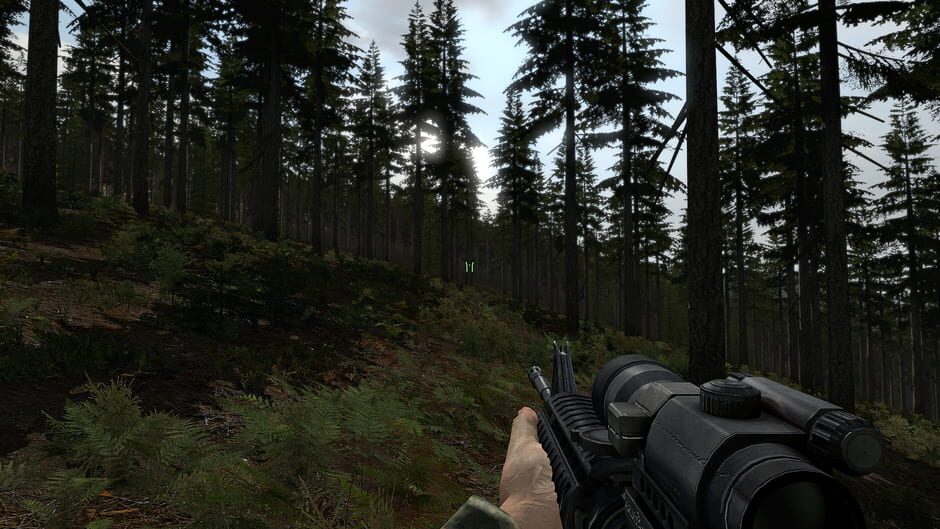 Capture d’Arma 2