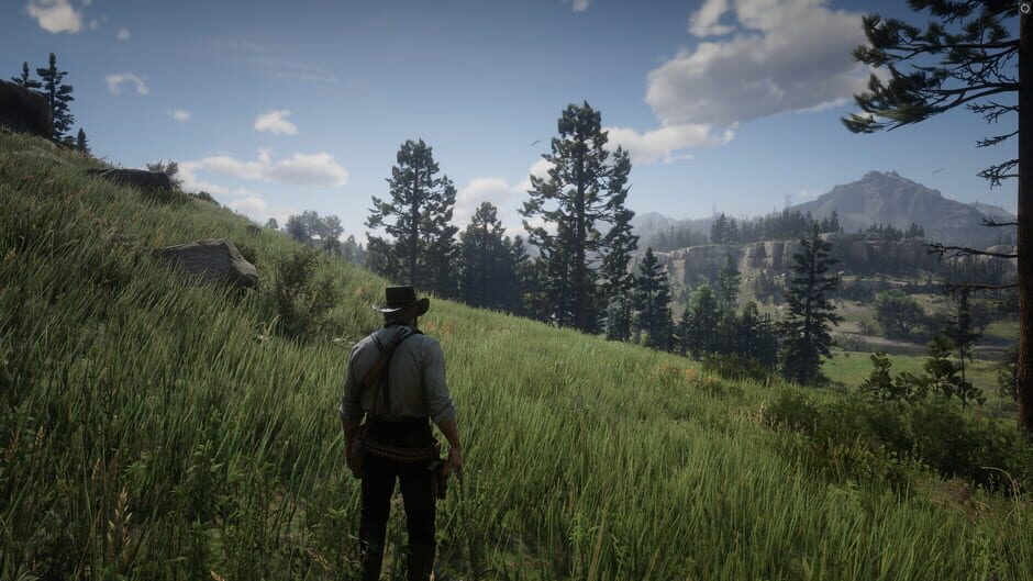 Capture de Red Dead Redemption 2