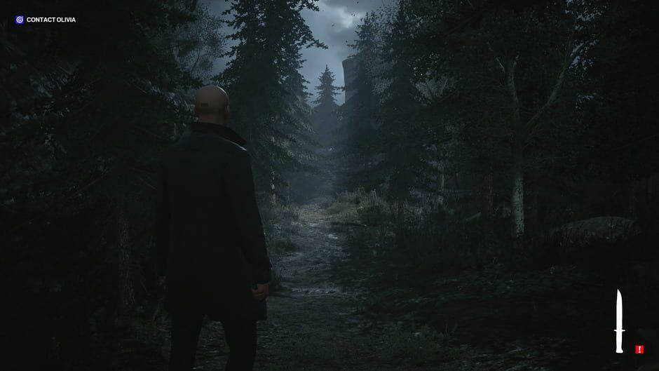 Capture de Hitman 3