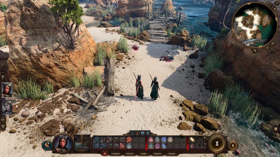 Capture de Baldur's Gate III