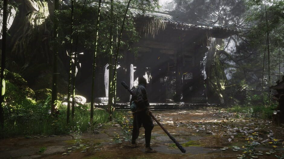 Capture de Black Myth: Wukong