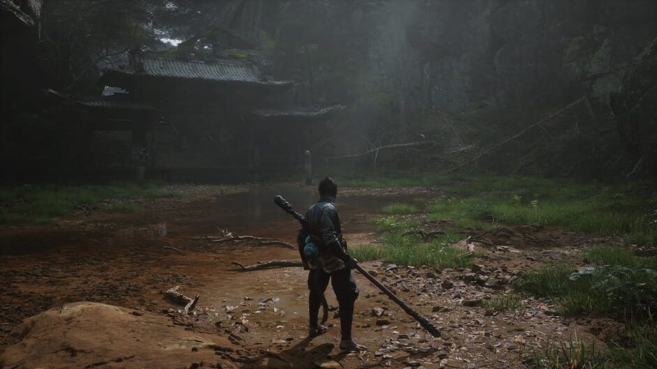 Capture de Black Myth: Wukong