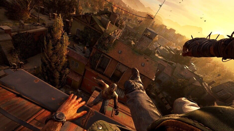 Capture de Dying Light: The Beast