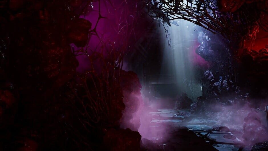 Capture de Directive 8020
