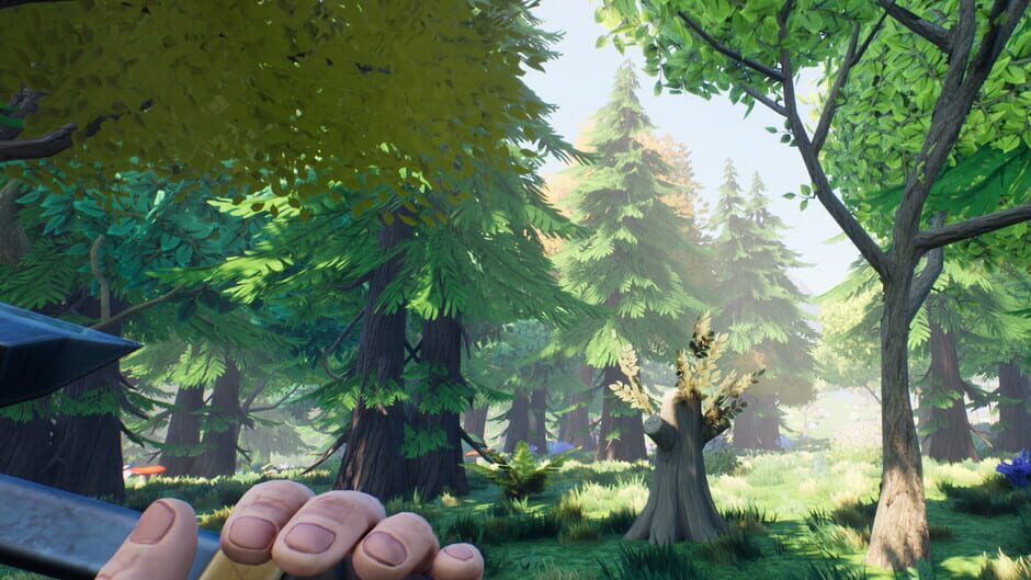 Capture d’Orebound