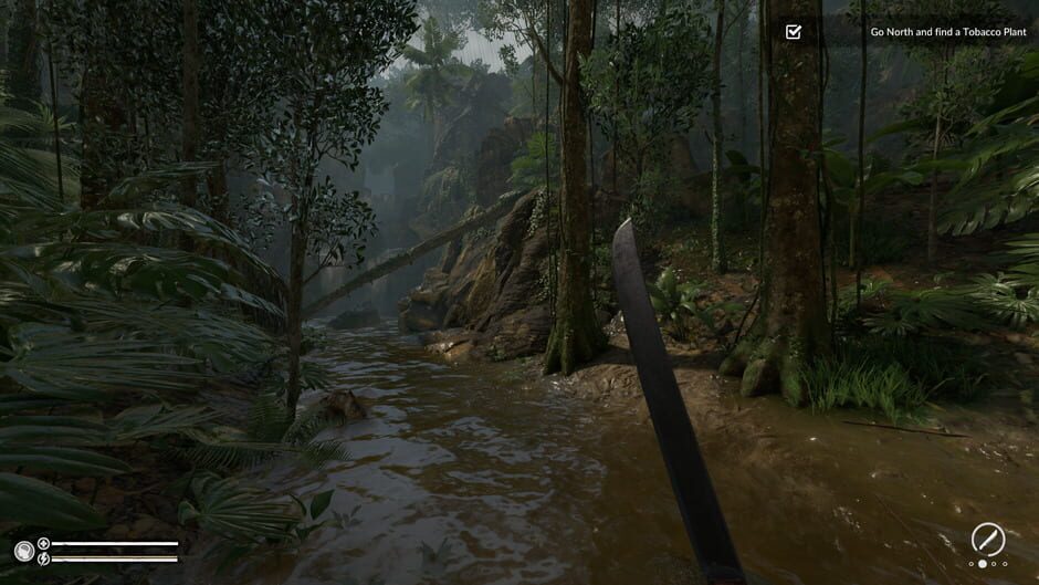 Capture de Green Hell