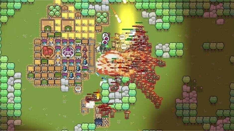 Capture de Border Pioneer