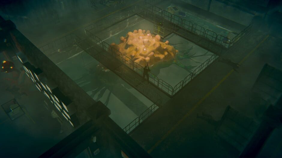 Capture de Mistery