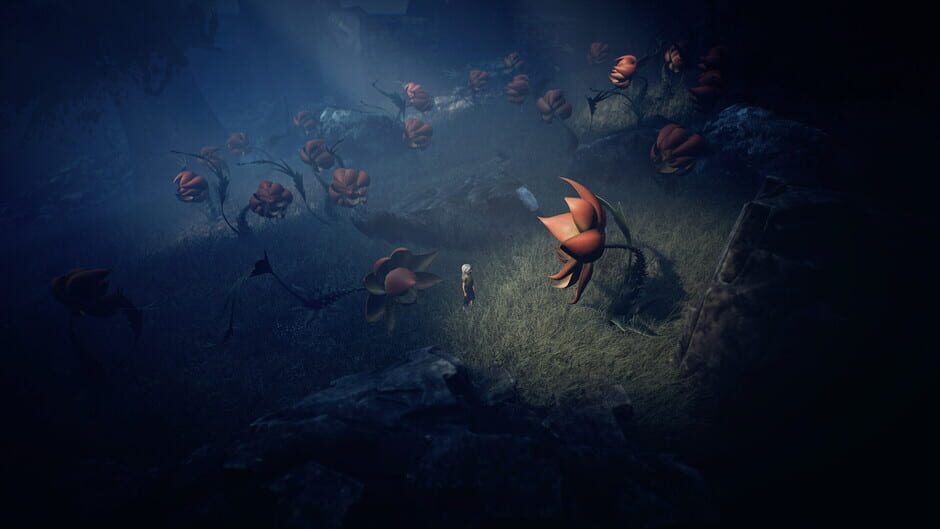 Capture d’Ayasa: Shadows of Silence