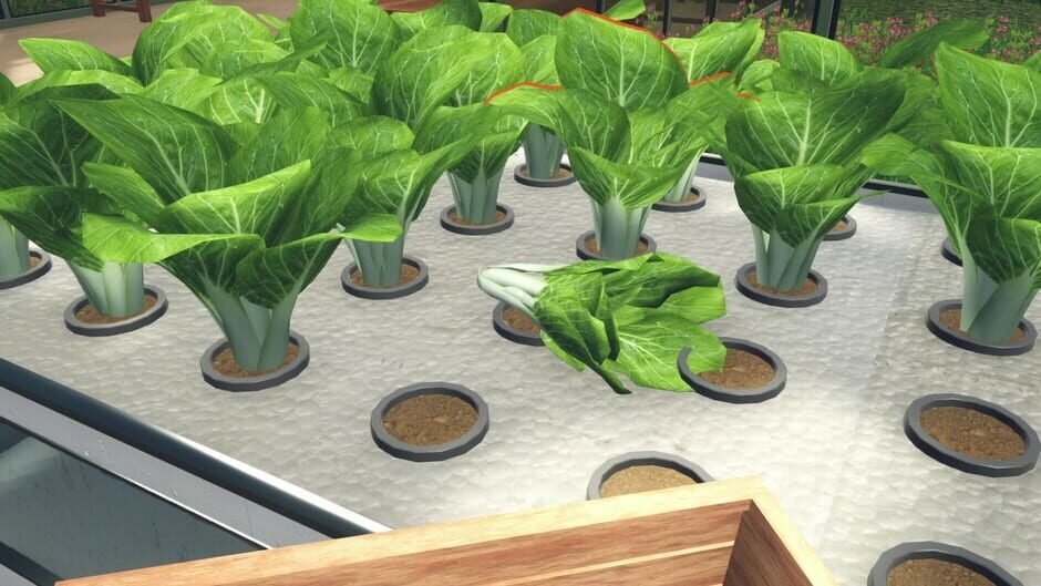 Capture de Hydroponics Farm & Store Simulator