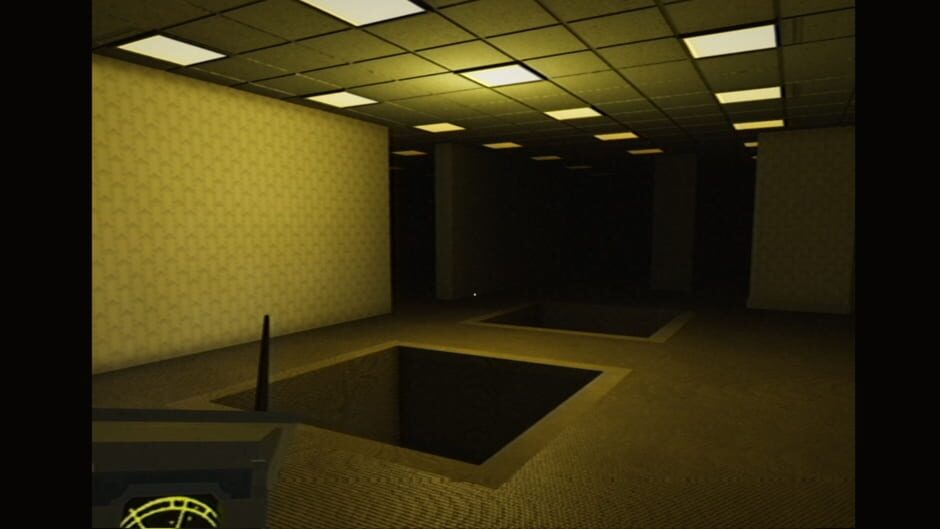 Capture de Backrooms: Partygoers
