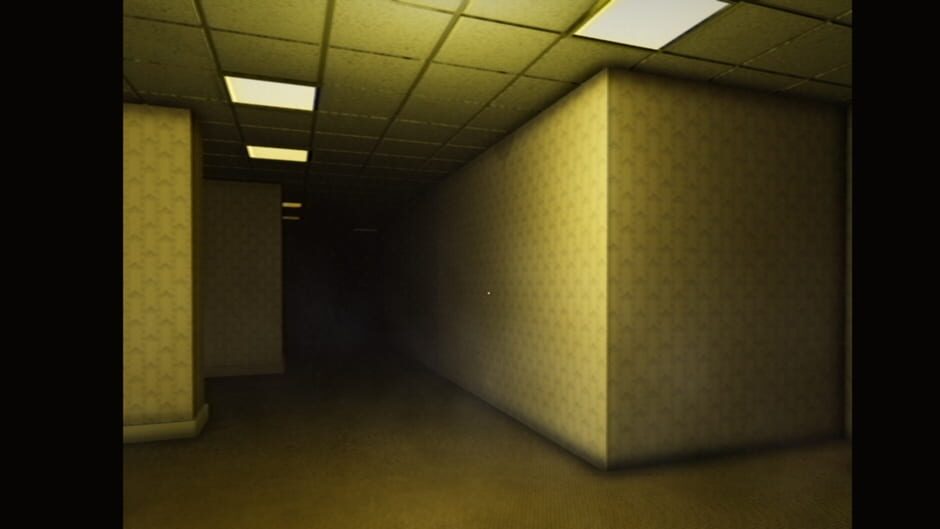 Capture de Backrooms: Partygoers