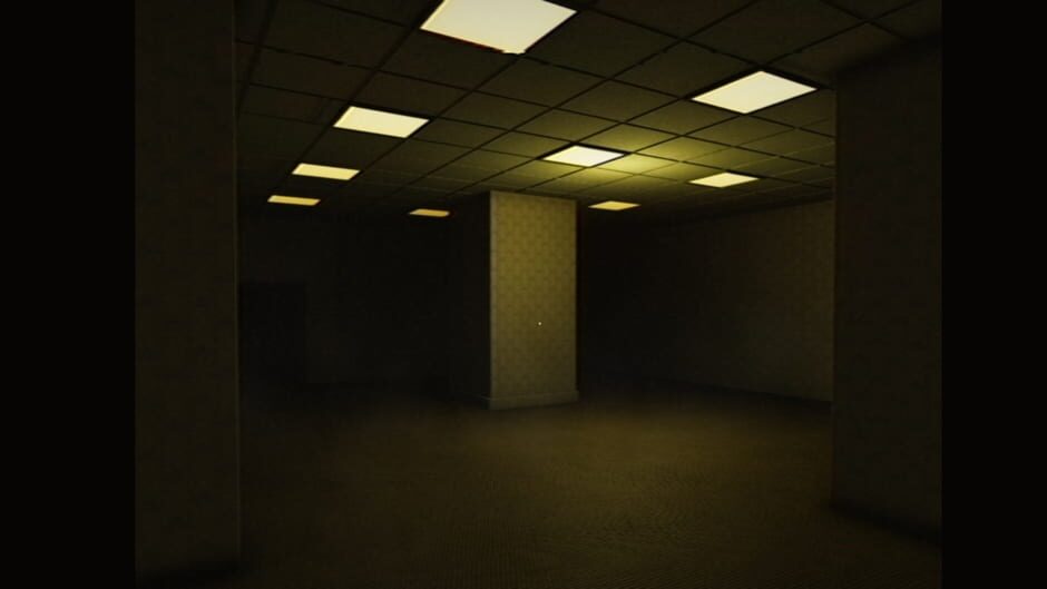 Capture de Backrooms: Partygoers