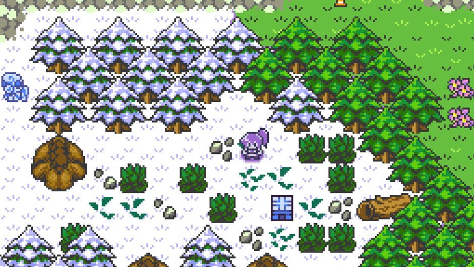 Capture de Dokimon