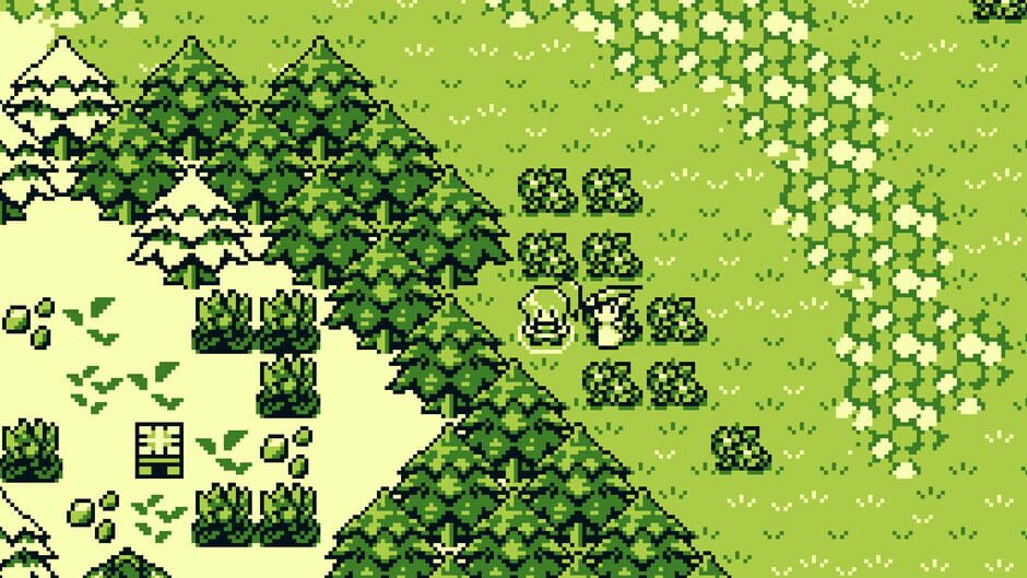 Capture de Dokimon