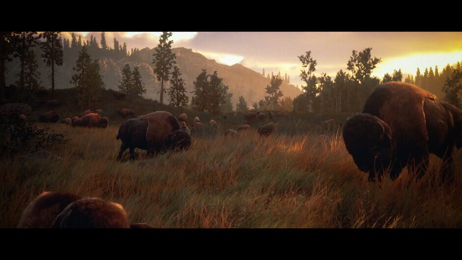 Capture de Hunting Simulator 3