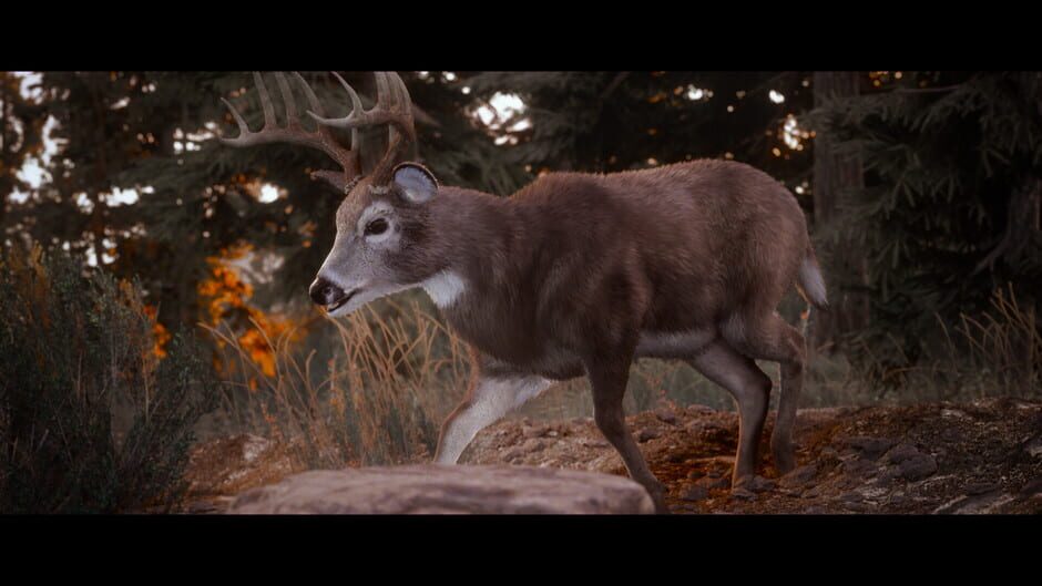 Capture de Hunting Simulator 3