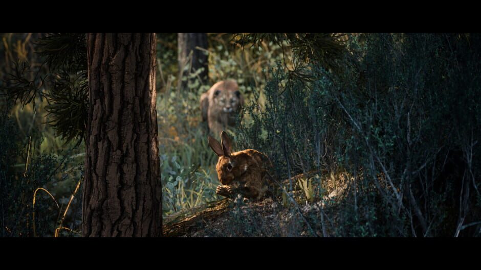 Capture de Hunting Simulator 3