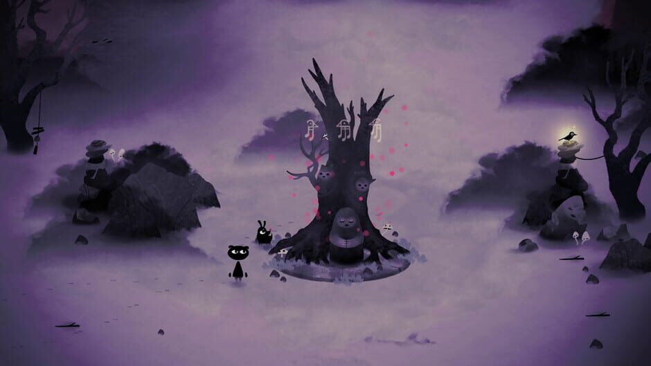 Capture de Koira