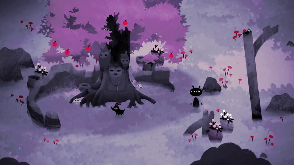 Capture de Koira