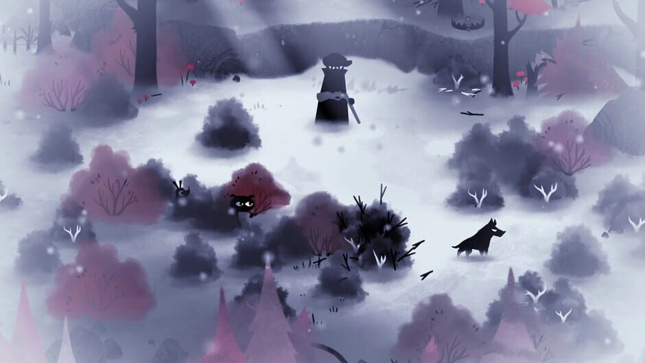 Capture de Koira