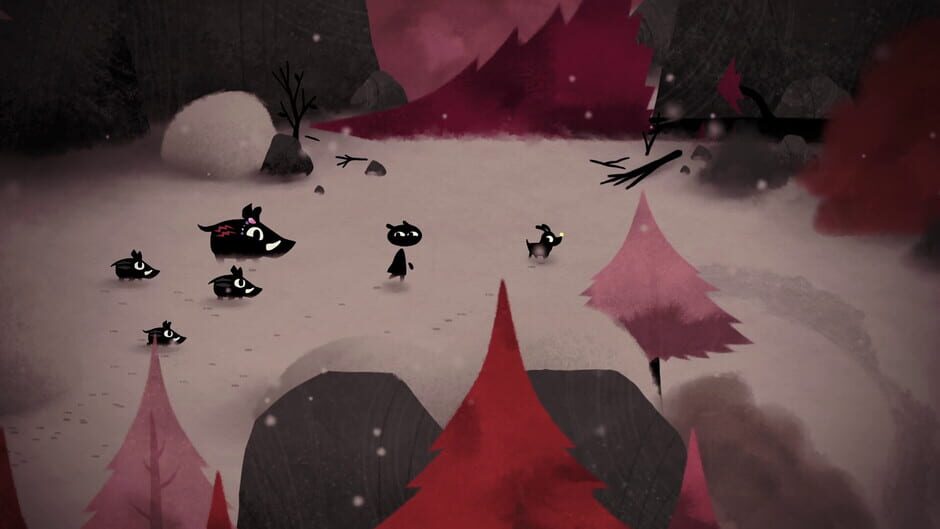 Capture de Koira