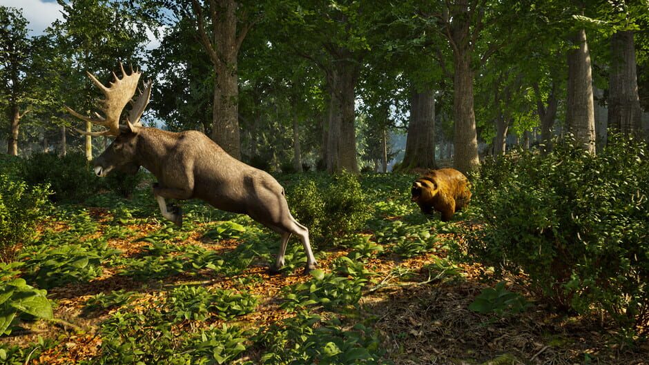 Capture de Park Ranger Simulator