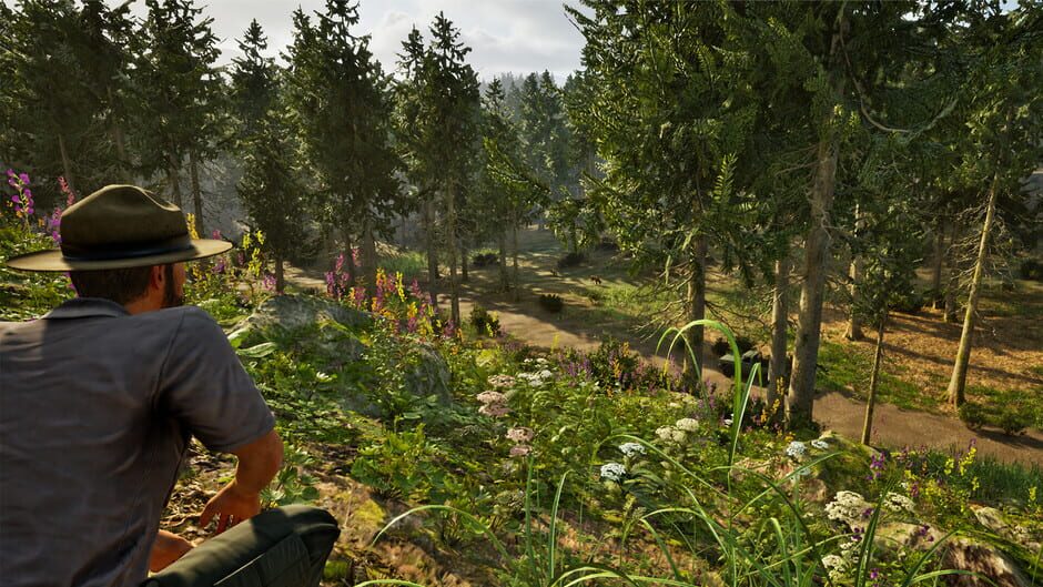 Capture de Park Ranger Simulator