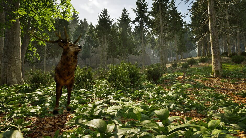 Capture de Park Ranger Simulator