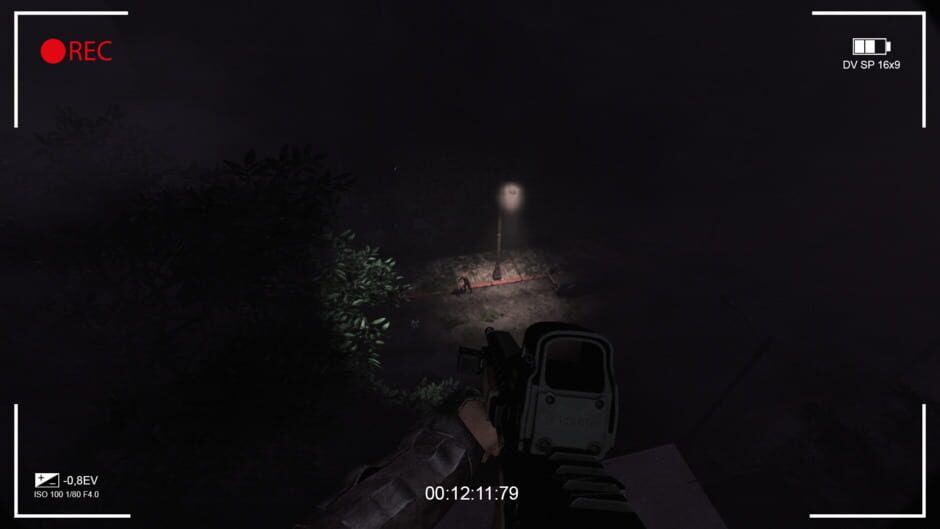 Capture d’Infect Cam